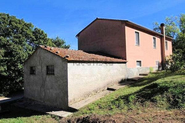 azienda agricola in vendita a Roccastrada