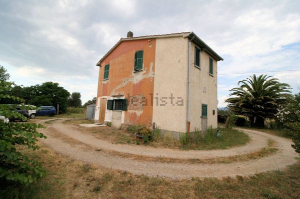 esavano in vendita a Roccastrada