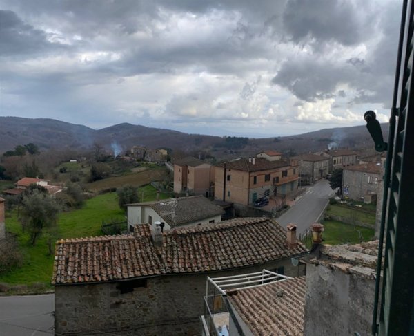 appartamento in vendita a Roccastrada in zona Torniella