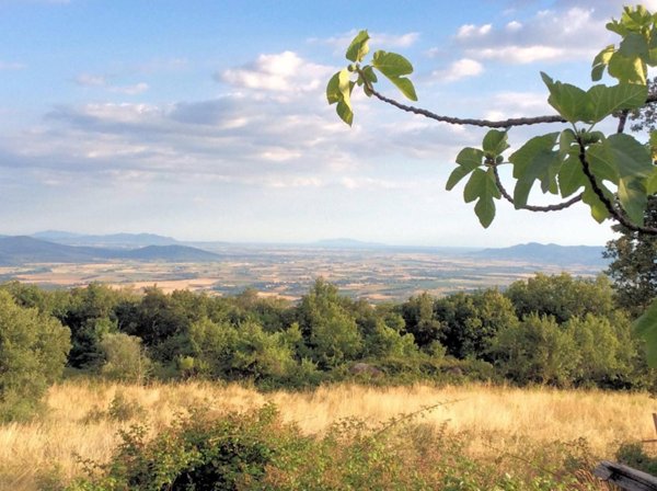 rudere in vendita a Roccastrada in zona Roccatederighi