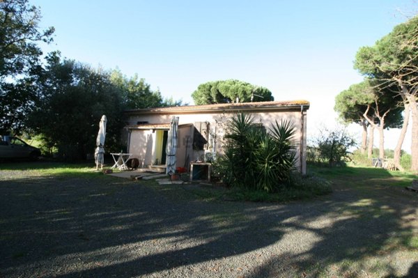 pentavano in vendita a Roccastrada