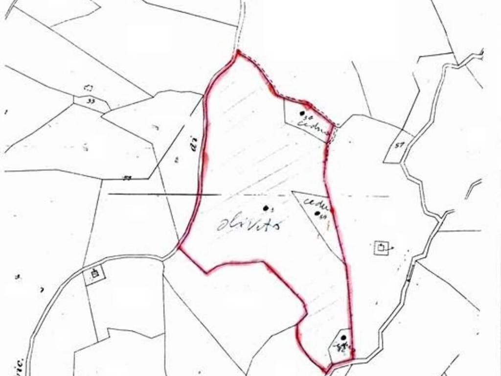terreno agricolo in vendita a Roccastrada in zona Roccatederighi