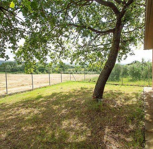 casa indipendente in vendita a Roccastrada in zona Montemassi