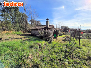 appartamento in vendita a Roccastrada