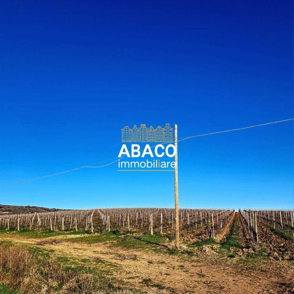terreno agricolo in vendita a Roccastrada