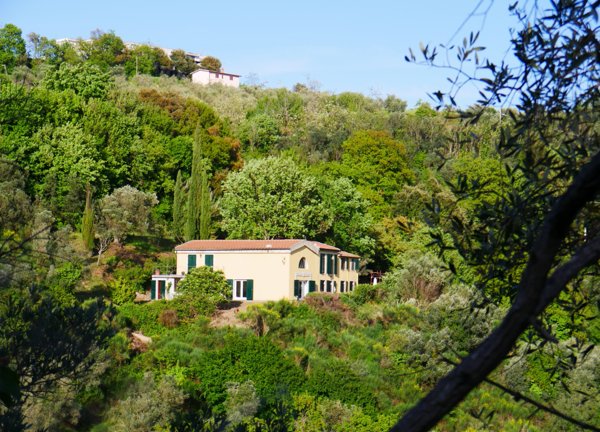 casa indipendente in vendita a Roccastrada