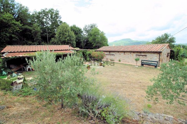 pentavano in vendita a Roccastrada in zona Sassofortino