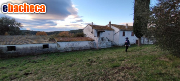 casa indipendente in vendita a Roccastrada
