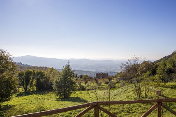 appartamento in vendita a Roccastrada in zona Roccatederighi