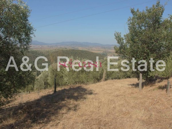 terreno agricolo in vendita a Roccastrada in zona Sticciano