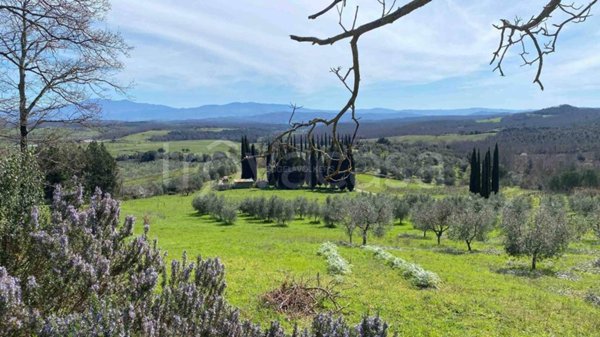 casa indipendente in vendita a Roccastrada