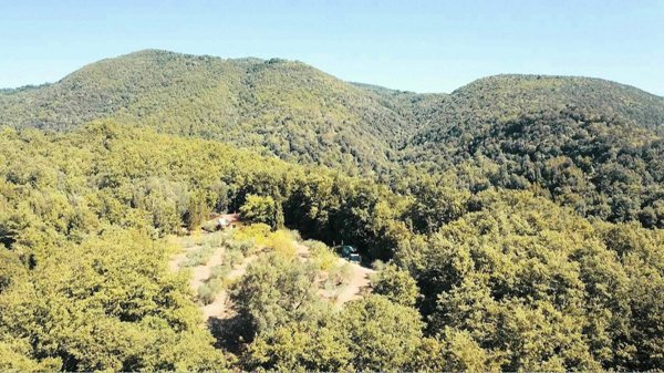 pentavano in vendita a Roccastrada