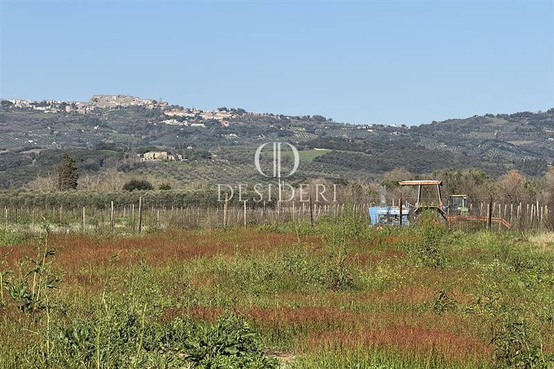 locale di sgombero in vendita a Roccastrada
