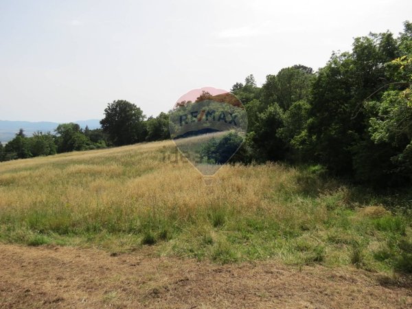 monolocale in vendita a Roccastrada in zona Roccatederighi