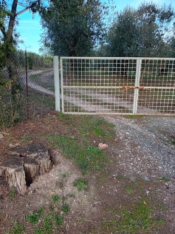 terreno agricolo in vendita a Roccastrada