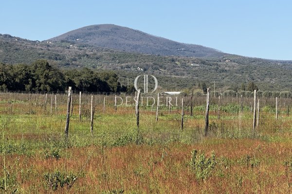 locale di sgombero in vendita a Roccastrada