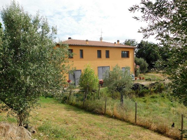 azienda agricola in vendita a Roccastrada