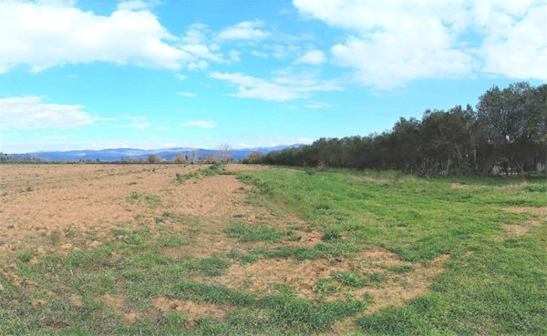 terreno agricolo in vendita a Roccastrada in zona Ribolla