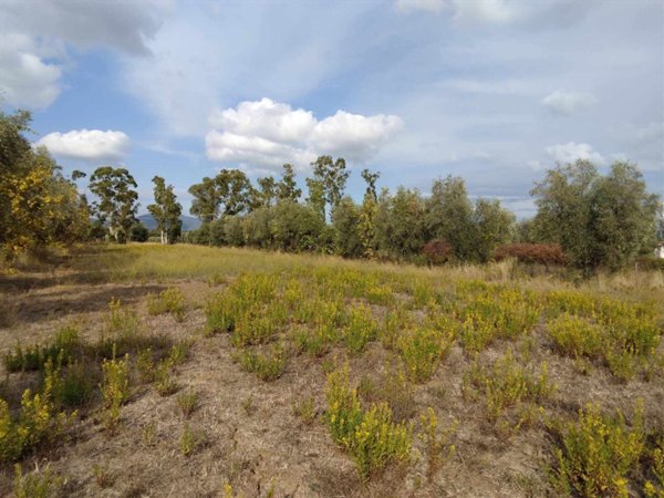 terreno agricolo in vendita a Roccastrada in zona Sticciano