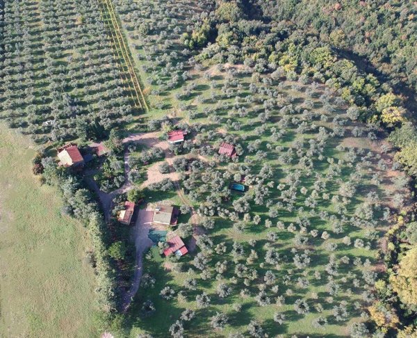 appartamento in vendita a Roccastrada