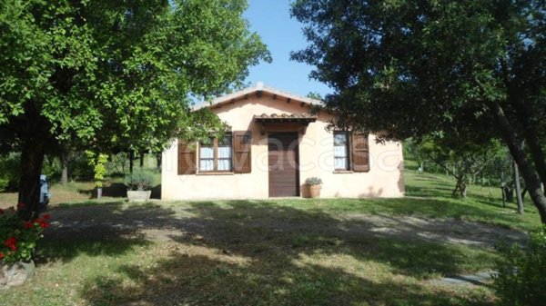 appartamento in vendita a Roccastrada