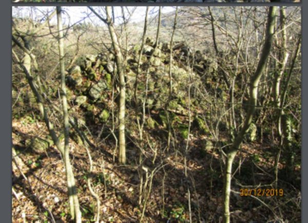 terreno agricolo in vendita a Roccastrada in zona Sassofortino