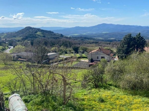 appartamento in vendita a Roccastrada