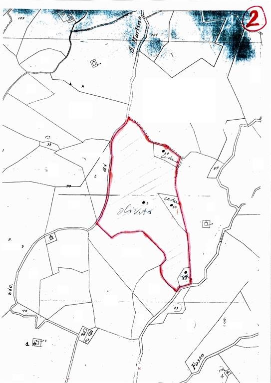 terreno agricolo in vendita a Roccastrada
