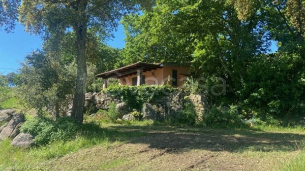 casa indipendente in vendita a Roccastrada