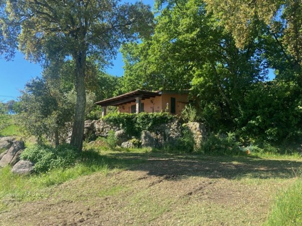 casale in vendita a Roccastrada