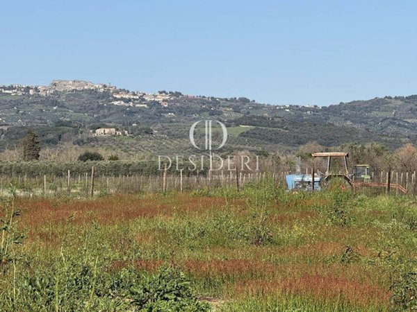terreno agricolo in vendita a Roccastrada