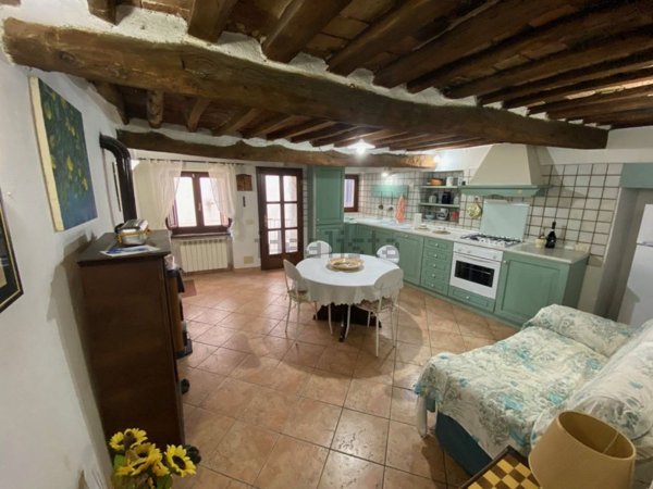 appartamento in vendita a Roccastrada in zona Montemassi