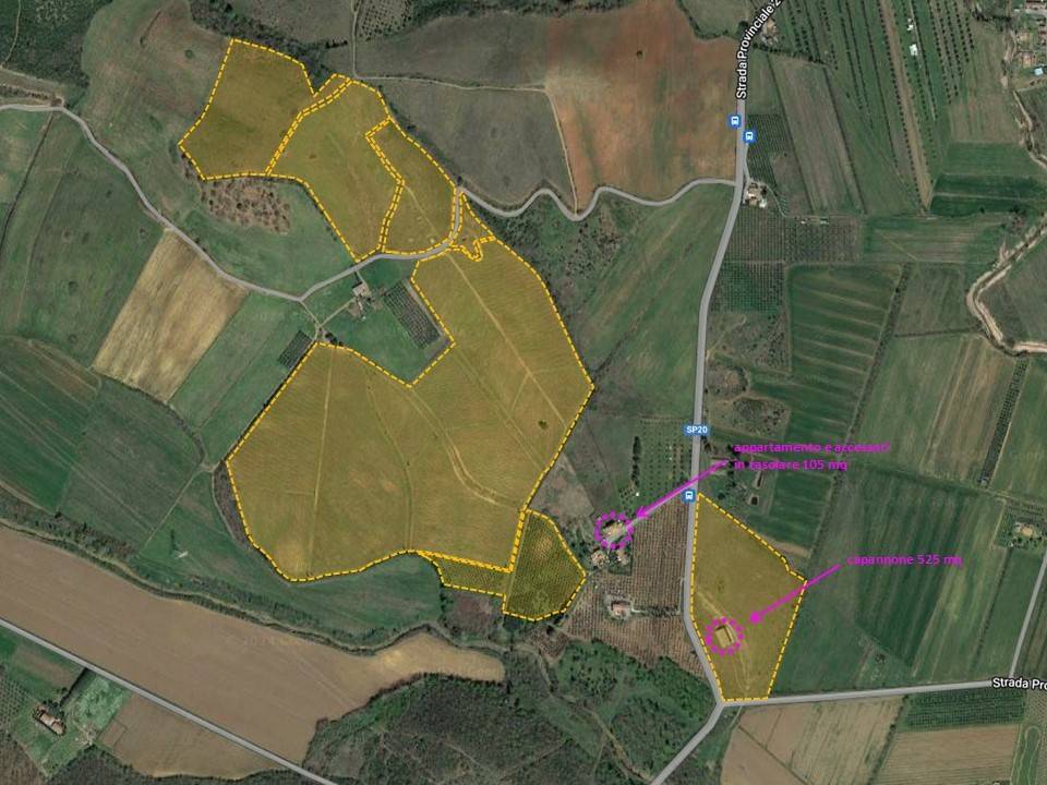 terreno agricolo in vendita a Roccastrada in zona Ribolla