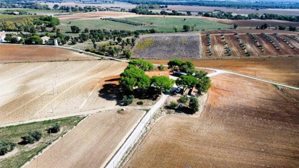casa indipendente in vendita a Roccastrada