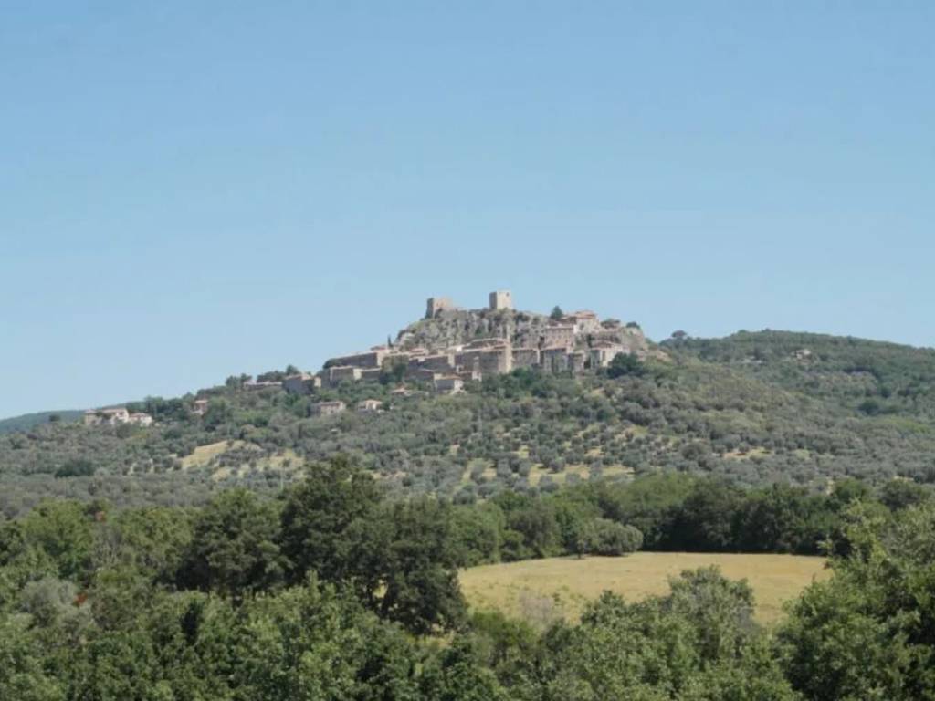 negozio in vendita a Roccastrada in zona Montemassi
