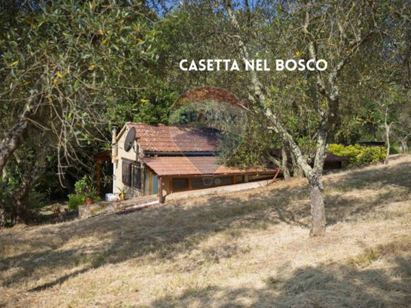 casa indipendente in vendita a Roccastrada