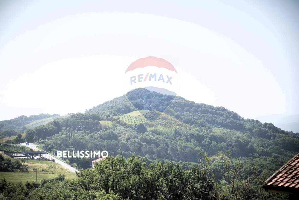 appartamento in vendita a Roccastrada