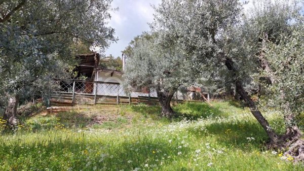 terreno agricolo in vendita a Roccastrada