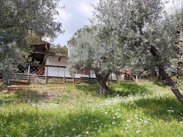 terreno agricolo in vendita a Roccastrada