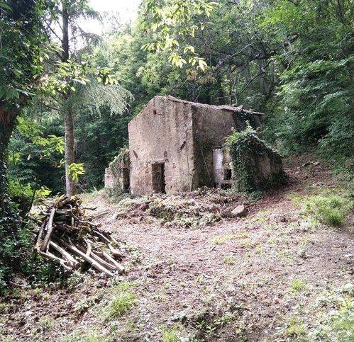 casa indipendente in vendita a Roccastrada in zona Sassofortino