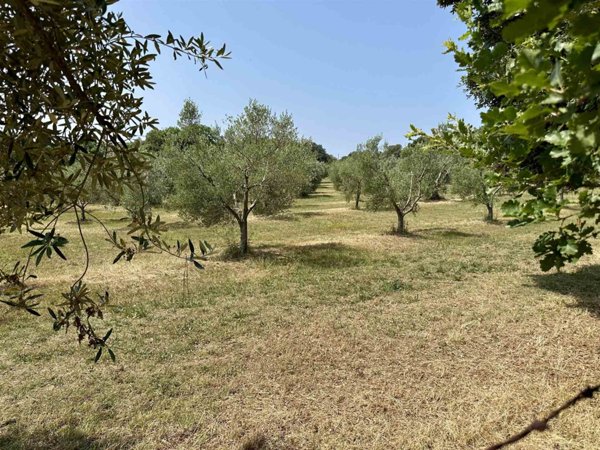 appartamento in vendita a Roccastrada