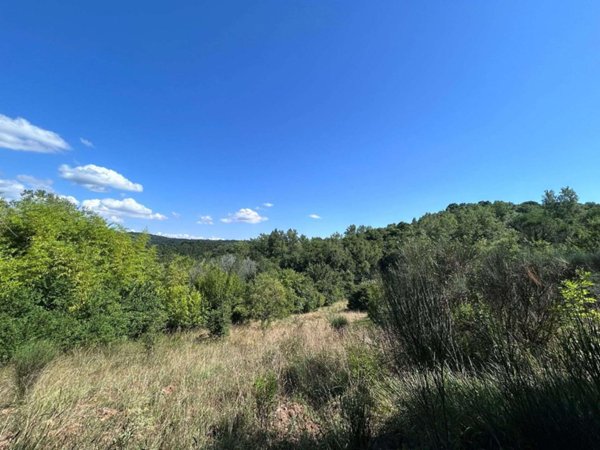 terreno agricolo in vendita a Roccastrada in zona Torniella