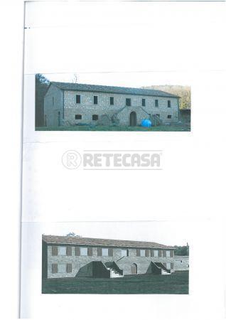azienda agricola in vendita a Roccastrada