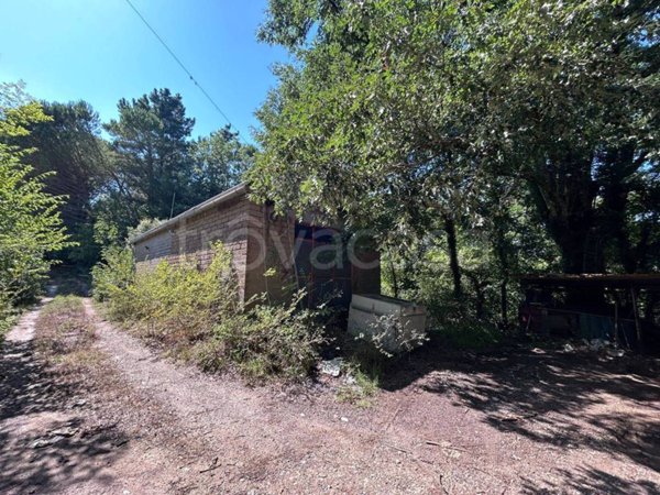 terreno agricolo in vendita a Roccastrada in zona Montemassi