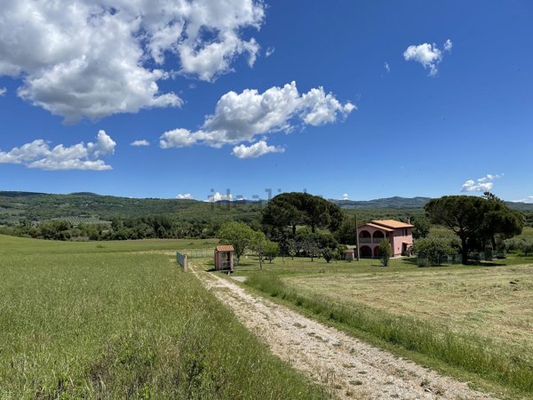 esavano in vendita a Roccastrada