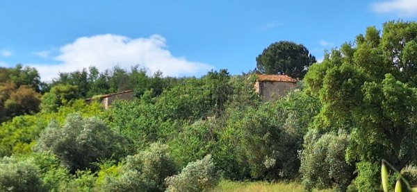 casale in vendita a Roccastrada