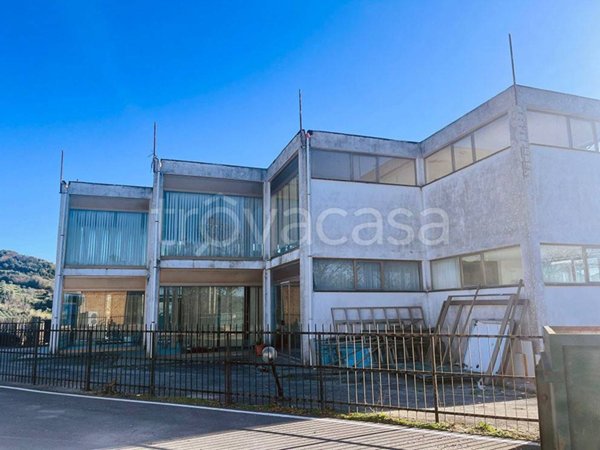 negozio in vendita a Roccastrada