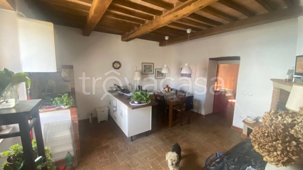 appartamento in vendita a Roccastrada