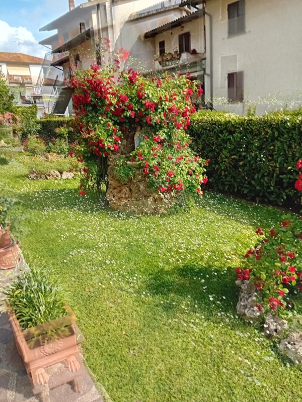 appartamento in vendita a Roccastrada in zona Ribolla