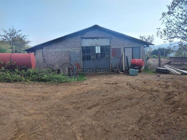 azienda agricola in vendita a Roccastrada in zona Roccatederighi